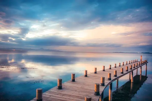 临沧篮球招生学校价格