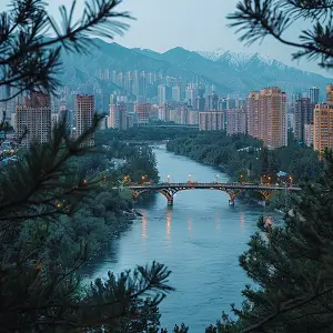 学校招生分数北京